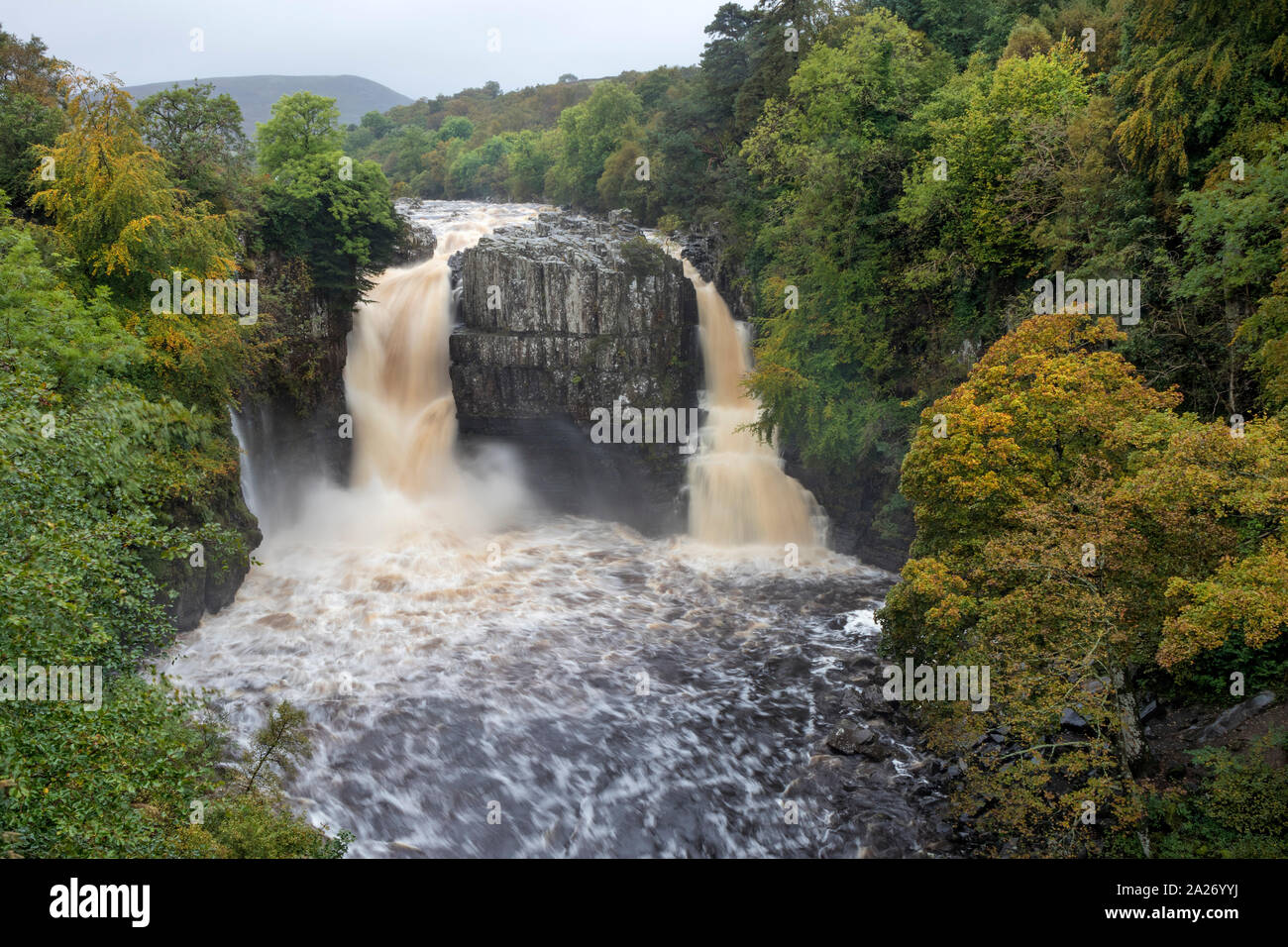 Forza elevata, Teesdale, County Durham, Regno Unito. 1 Ott 2019. Regno Unito Meteo. Inondazione di tuoni oltre a forza elevata dopo forti piogge causato livelli d'acqua del Fiume Tees in Inghilterra del Nord Est a salire in maniera spettacolare. Credito: David Forster/Alamy Live News Foto Stock