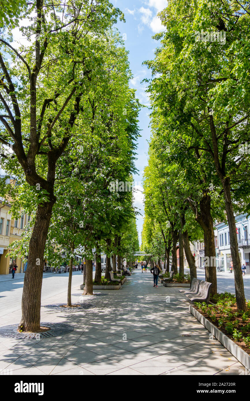 Laisves Aleja, main boulevard, Kaunas, Lituania Foto Stock