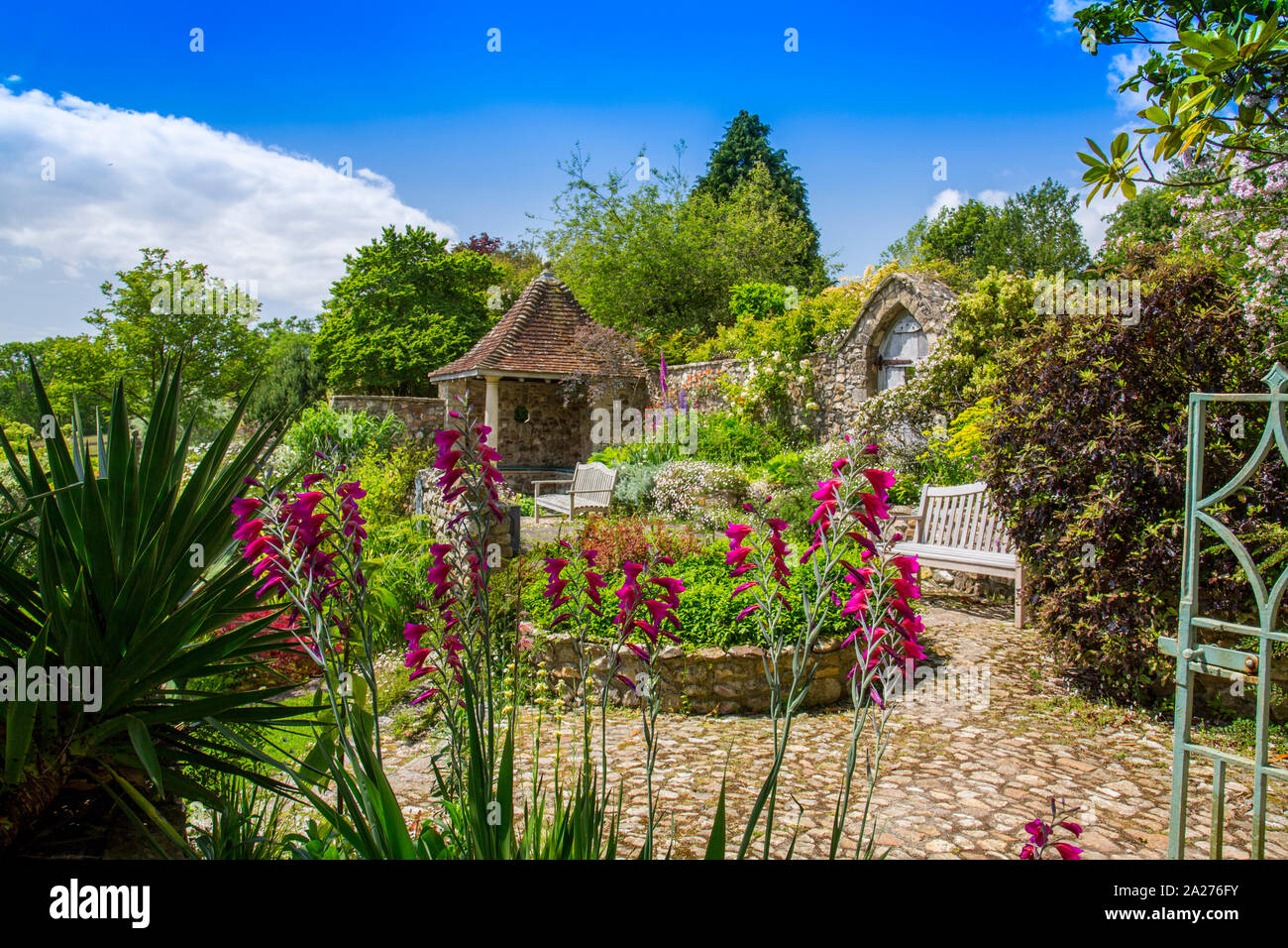 L'attraente e colorato giardino del Millennio a Burrow Agriturismo Giardini, vicino, Axminster Devon, Inghilterra, Regno Unito Foto Stock