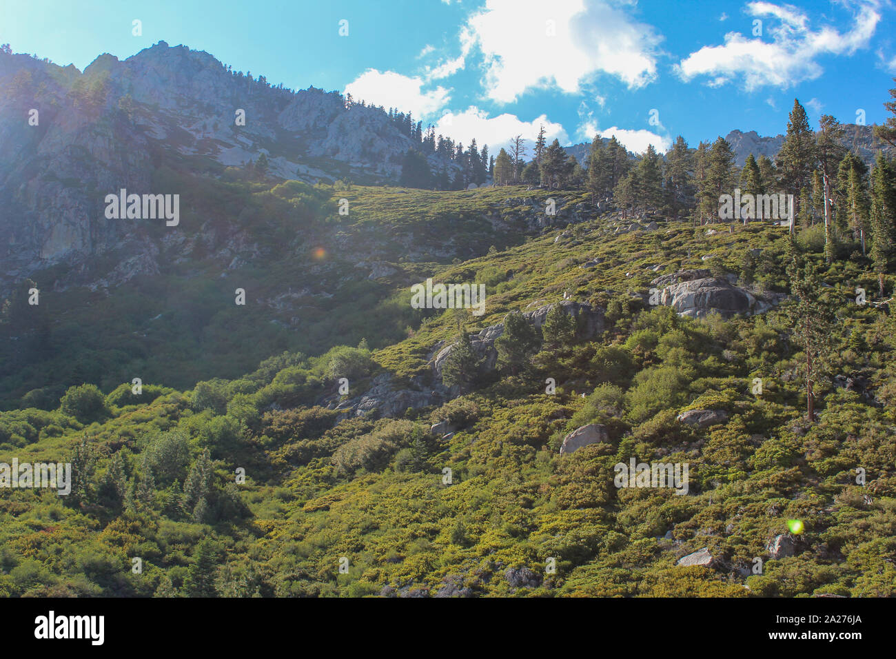 Vista del paesaggio delle colline nei pressi di Eagle Falls, Lake Tahoe, California Foto Stock