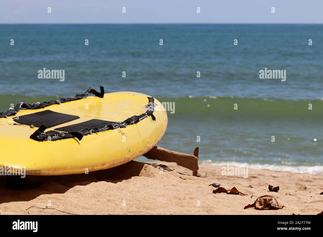 Tavola da Surf sotto la sabbia sulla spiaggia tropicale sullo sfondo di un mare azzurro. Il concetto di surf, vacanze e nuoto Foto Stock
