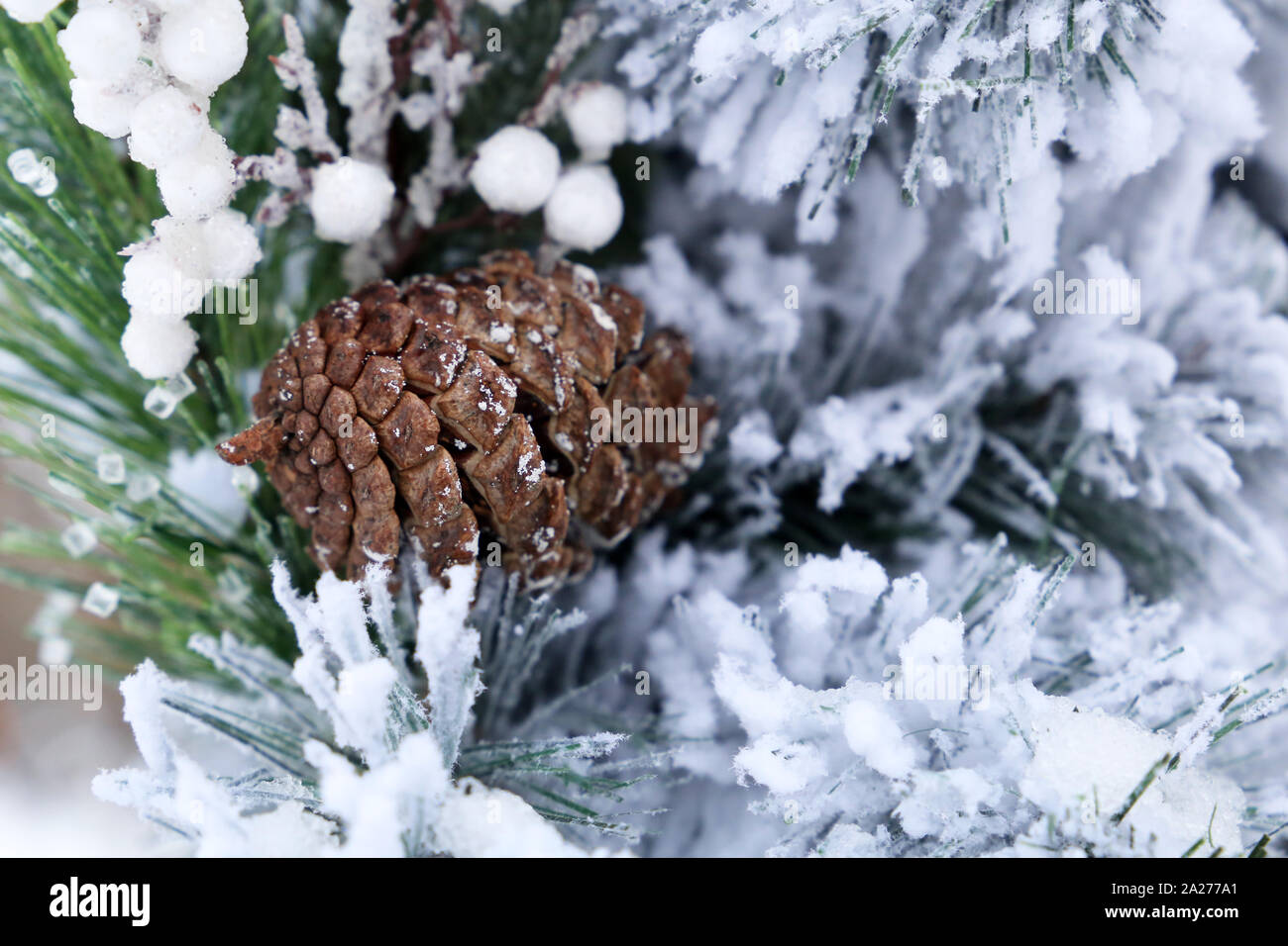 Pine cono ricoperto di neve dopo la nevicata, closeup. Le decorazioni di Natale sulla strada di città, in inverno, Anno Nuovo sfondo Foto Stock