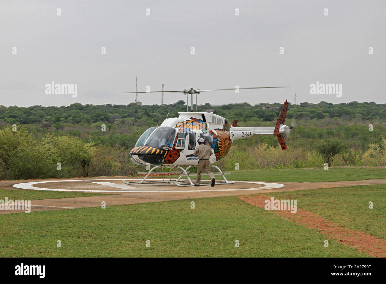 Ranger di gioco a piedi in parcheggiato Shearwater Adventures Z-SCA Bell 206L3 LongRanger elicottero di decollare, Victoria Falls, Zimbabwe. Foto Stock