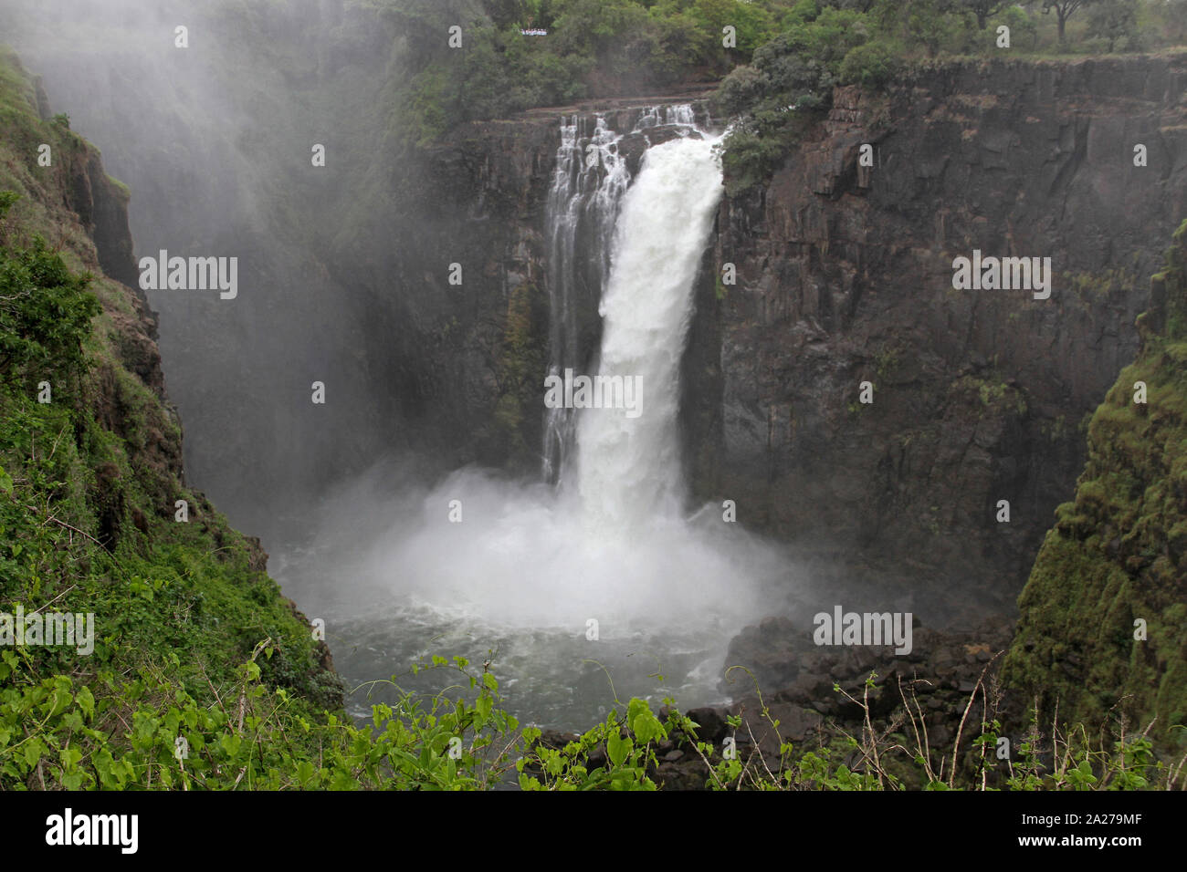 Vista sulla cima di Victoria Falls, Zimbabwe. Foto Stock
