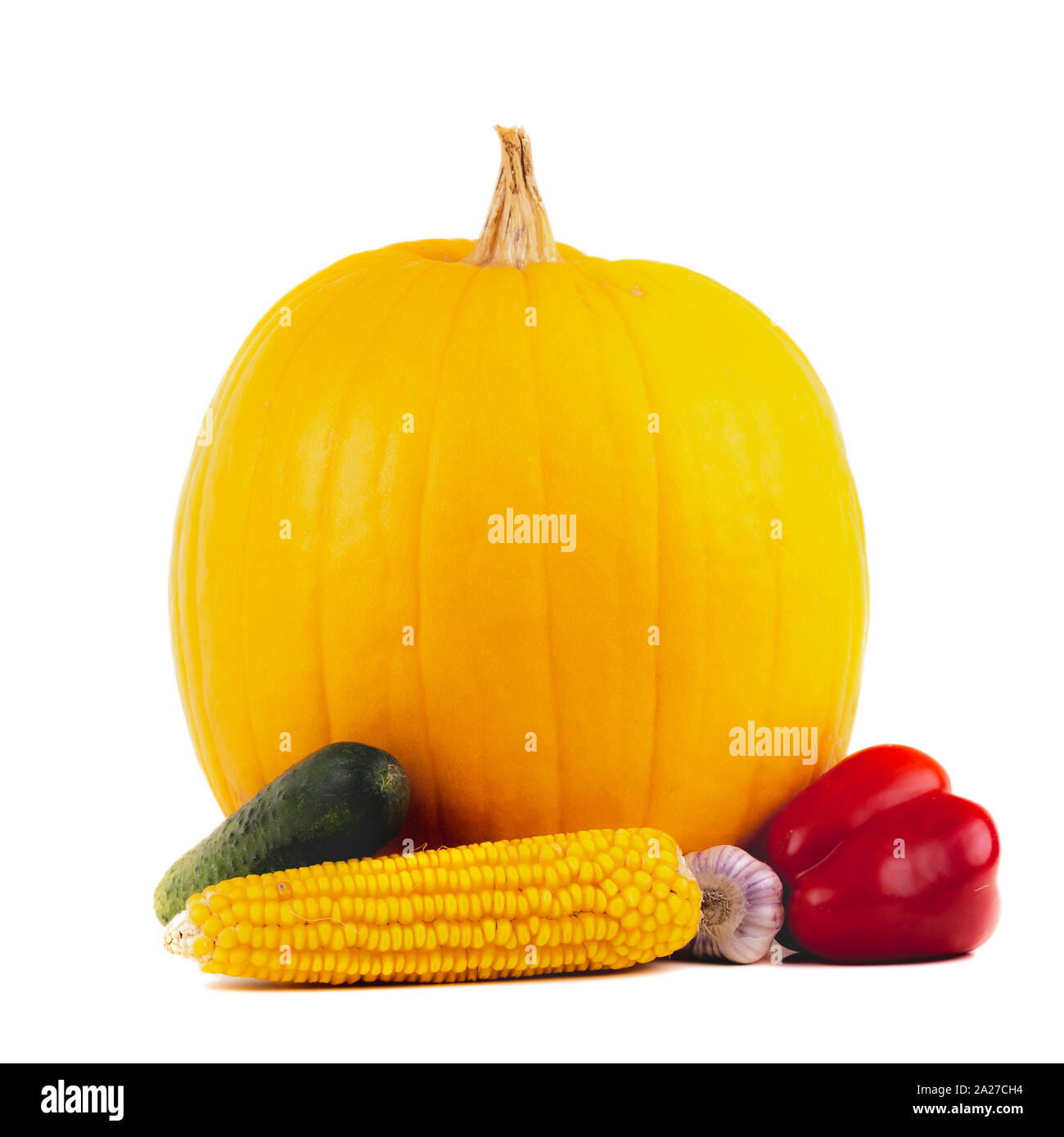 Zucca e verdure per la cottura. Su sfondo bianco. La Giornata del ringraziamento concetto. Foto Stock