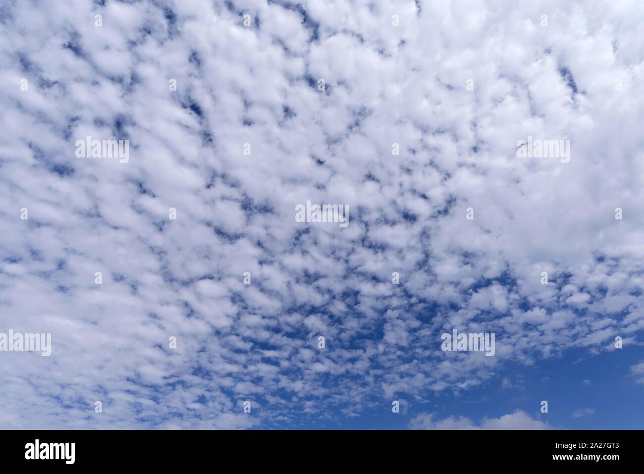 Grandi nuvole di pecora, Altocumulus, Baviera, Germania Foto Stock