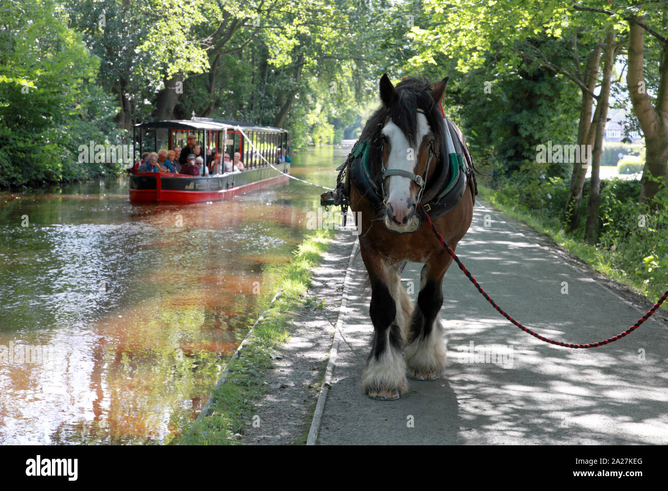 Un cavallo il disegno di una barca da Llangollen Wharf fino la Dee valley verso Llantysilio Foto Stock