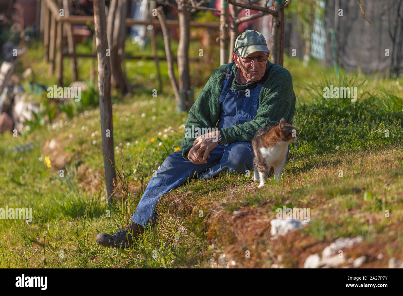 Anziani uomo seduto su un prato cercando felice al suo gatto Foto Stock