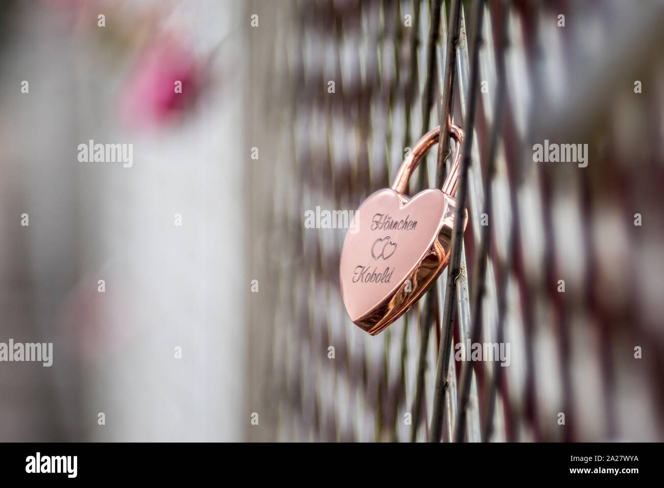 Liebesschlösser am Zaun Foto Stock