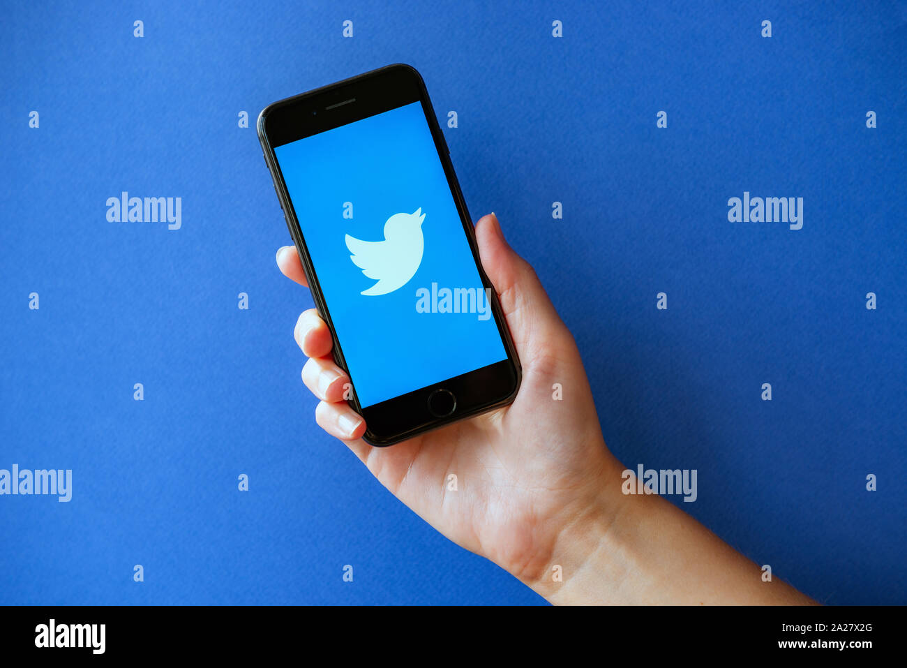 Kiev, Ucraina - 1 Ottobre 2019: Studio colpo di mano azienda Apple iPhone 8 con Twitter logotipo sulla schermata. Isolato su una carta blu sullo sfondo. Foto Stock