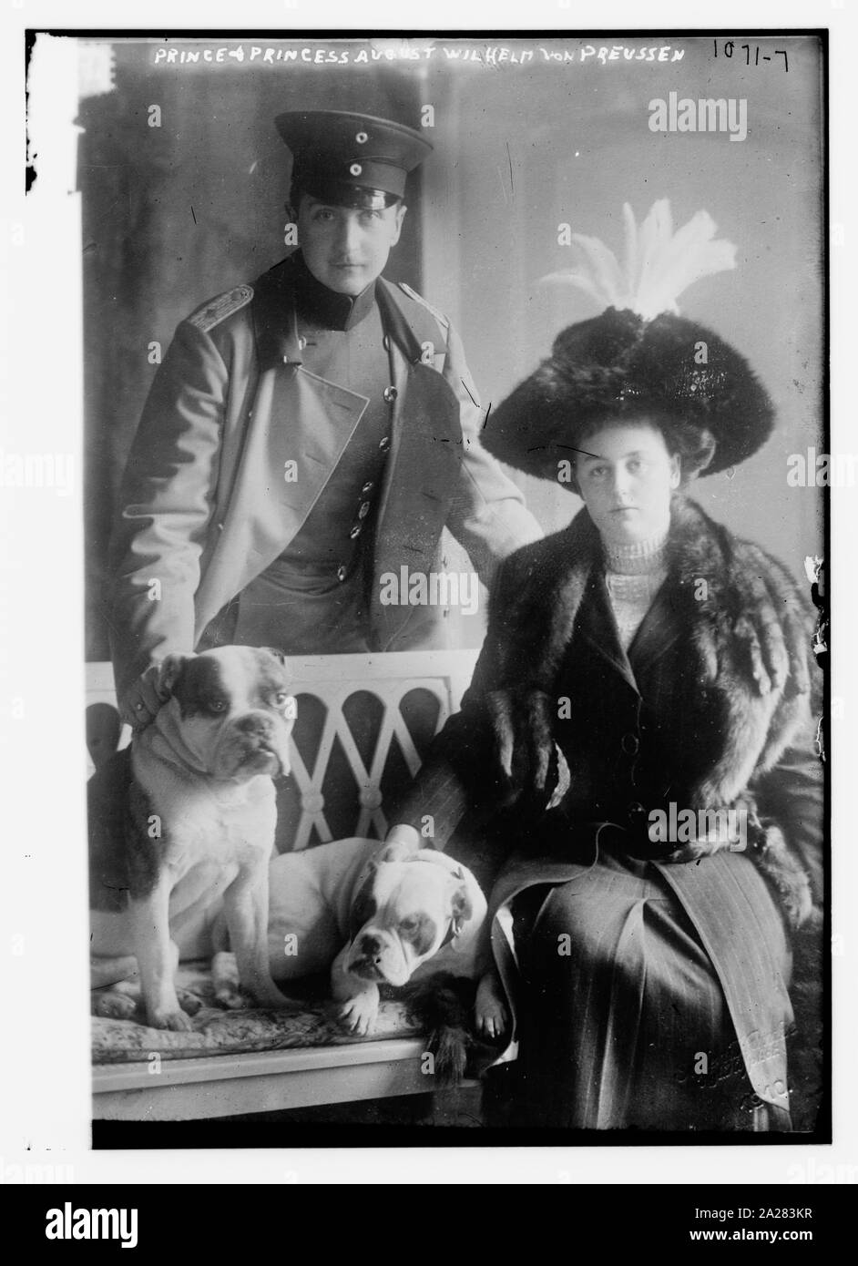 Il principe e la principessa August Wilhelm von Preussen con cani Foto Stock