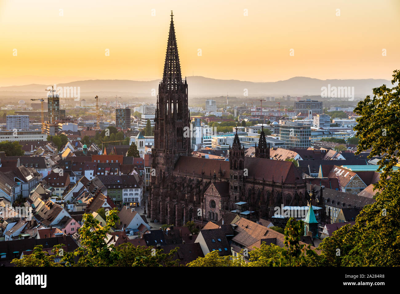 Germania, foresta nera città Freiburg im Breisgau a Baden nel fantastico tramonto crepuscolo atmosfera, vista aerea su muenster chiesa da sopra le case Foto Stock