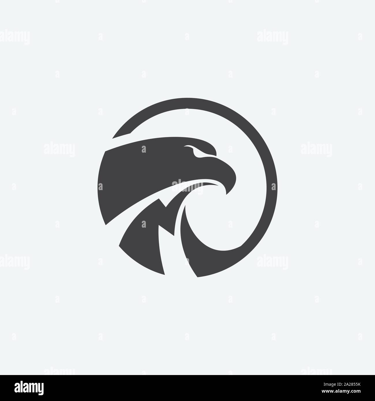 Eagle icona design circolare illustrazione, hawk design icona, eagle logo design template, icona di Falcon Illustrazione Vettoriale
