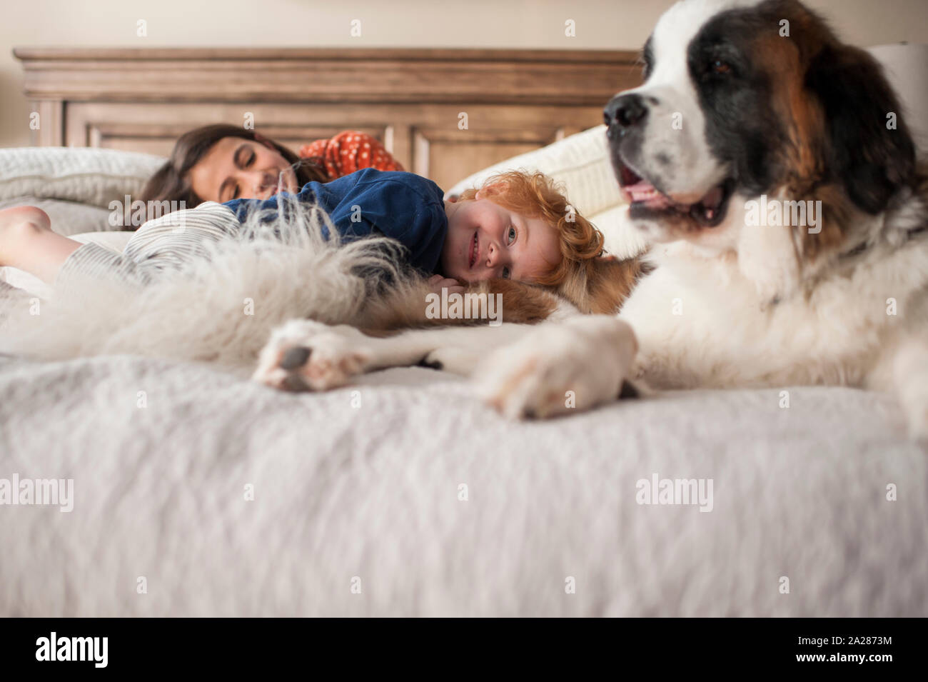 I bambini sorridere mentre la posa sul letto con grande cane a casa Foto Stock