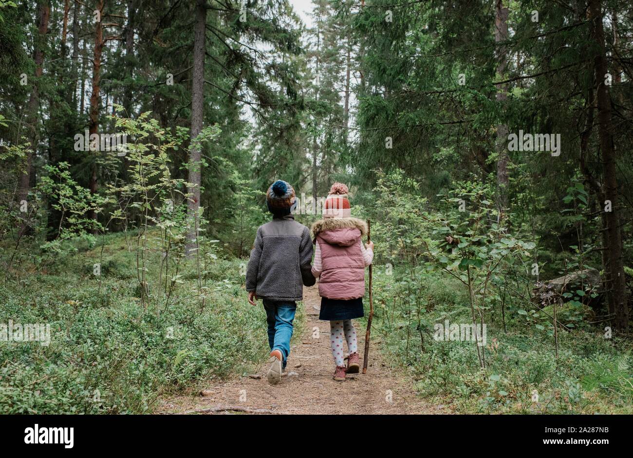 Fratello e Sorella e tenendo le mani a piedi attraverso il bosco in autunno Foto Stock