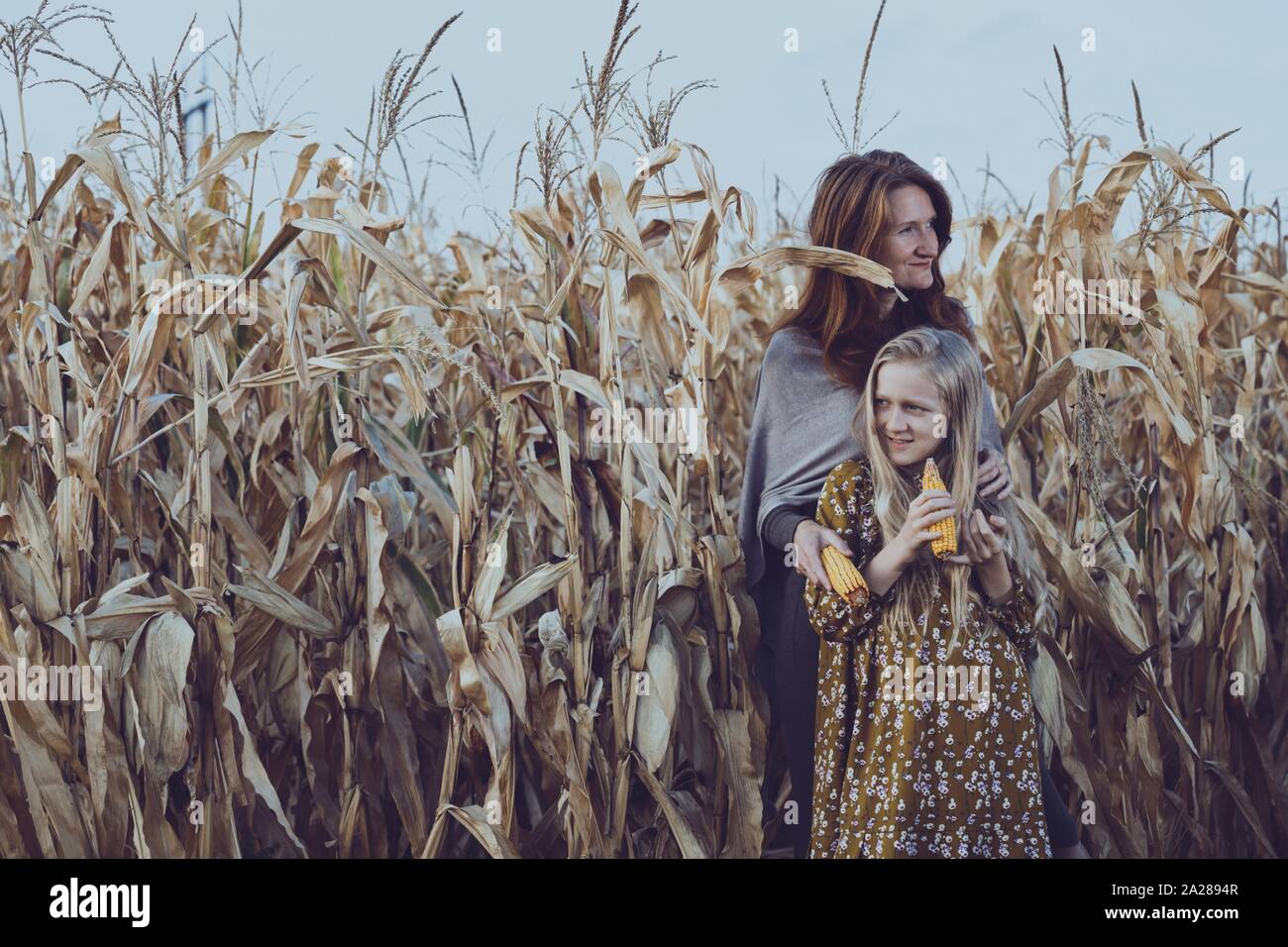 La famiglia e la vita al di fuori della città. mamma e figlia in un campo di mais. Foto Stock