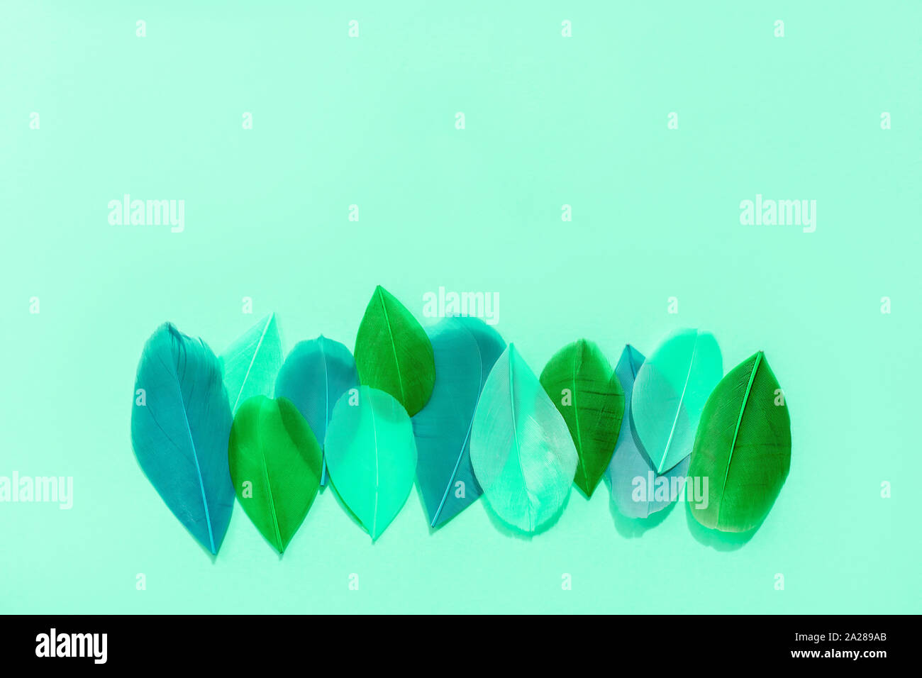 Multi-verniciato colorato piume sono disposti in una fila su sfondo blu. Foto Stock