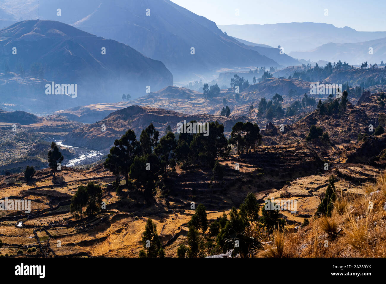 Colca Valley,Arequipa, Perù, Sud America. Foto Stock