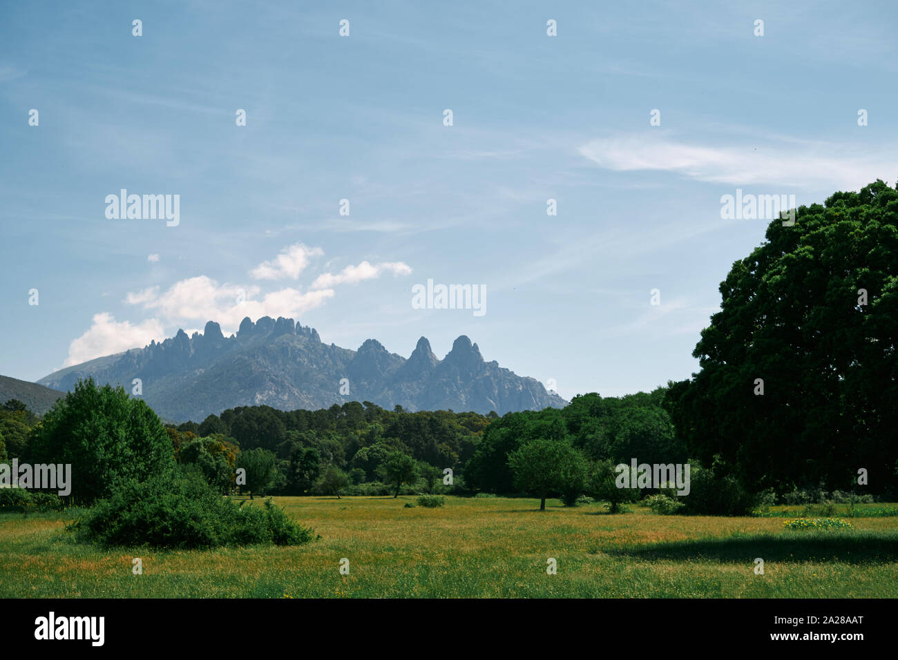 Il lontano Aiguilles de Bavella granito cresta di montagna nel verde paesaggio interiore del Parco Naturale Regionale della Corsica Francia. Foto Stock