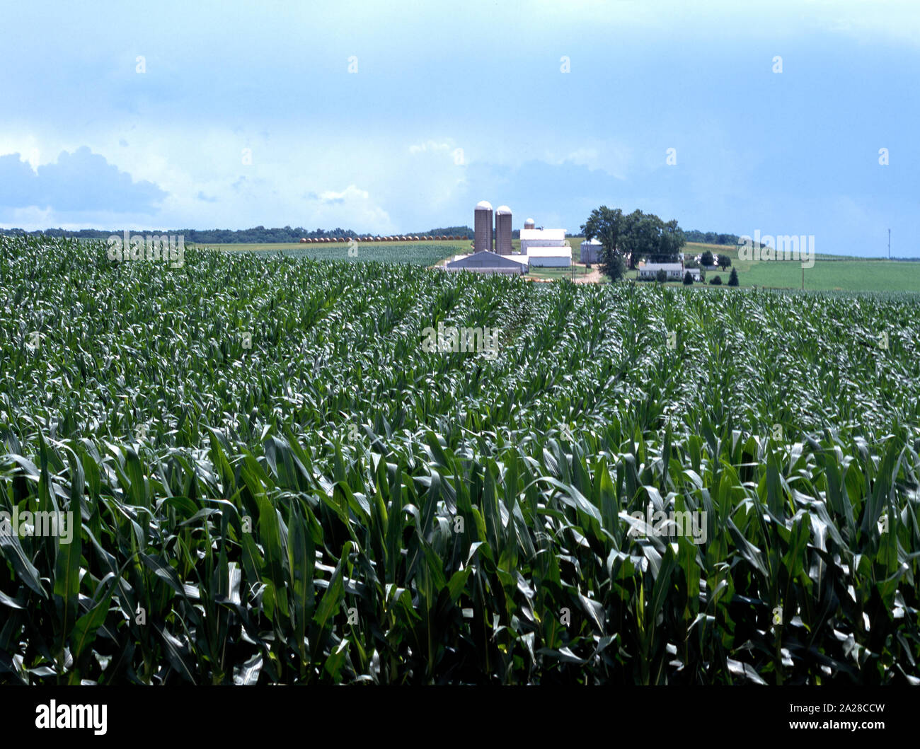 Prospera fattoria Amish, a Lancaster, Pennsylvania Foto Stock