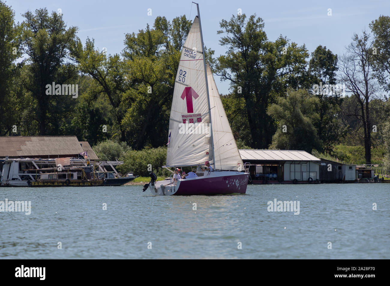 Belgrado, Serbia, Agosto 18, 2019: Tre-persona scuderie concorrenti nella classe Micro regata a vela sul fiume Sava Foto Stock