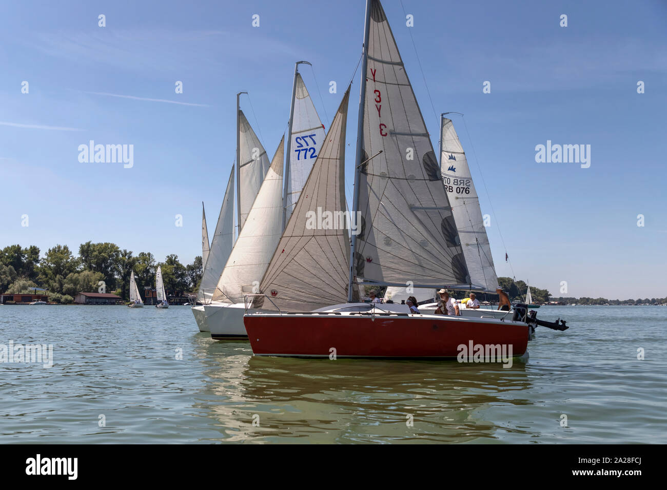 Belgrado, Serbia, Agosto 18, 2019: Tre-persona scuderie concorrenti nella classe Micro regata a vela sul fiume Sava Foto Stock