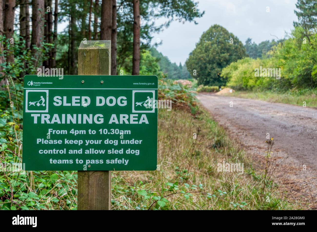 Uno Sled Dog Area Formazione segno accanto a via a Thetford Forest. Foto Stock Uno Sled Dog Area Formazione segno accanto a via a Thetford Forest. Foto Stock