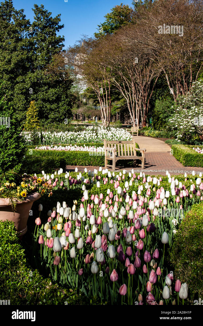 Atlanta Giardino Botanico, Atlanta, Georgia, Foto Stock
