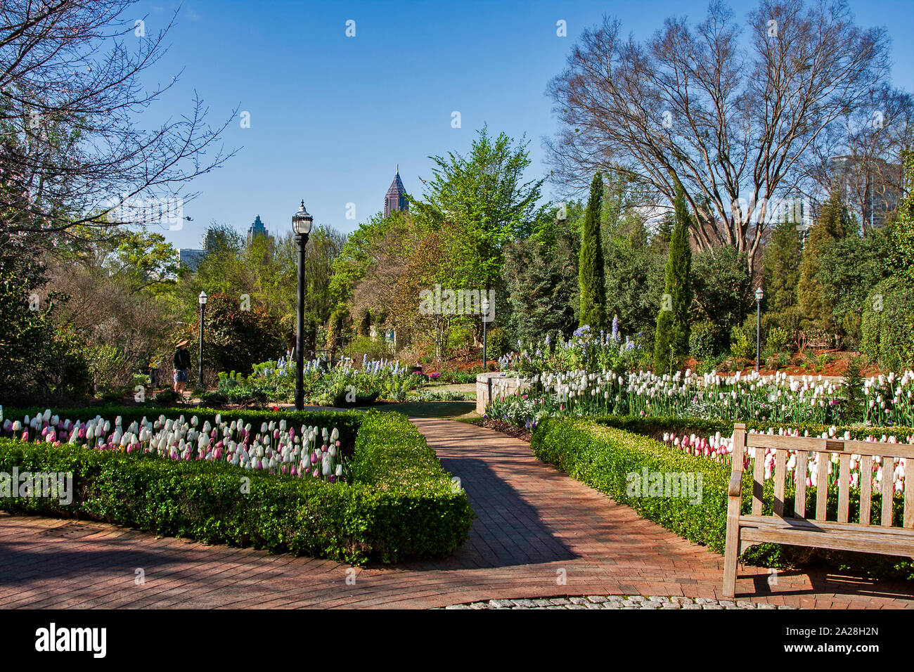 Atlanta Giardino Botanico, Atlanta, Georgia, Foto Stock