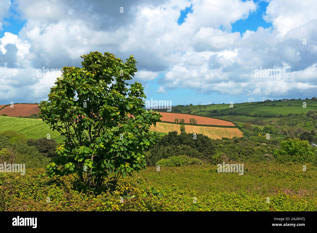 Paesaggio rurale, vista sulla campagna, Inghilterra, Regno Unito. Foto Stock