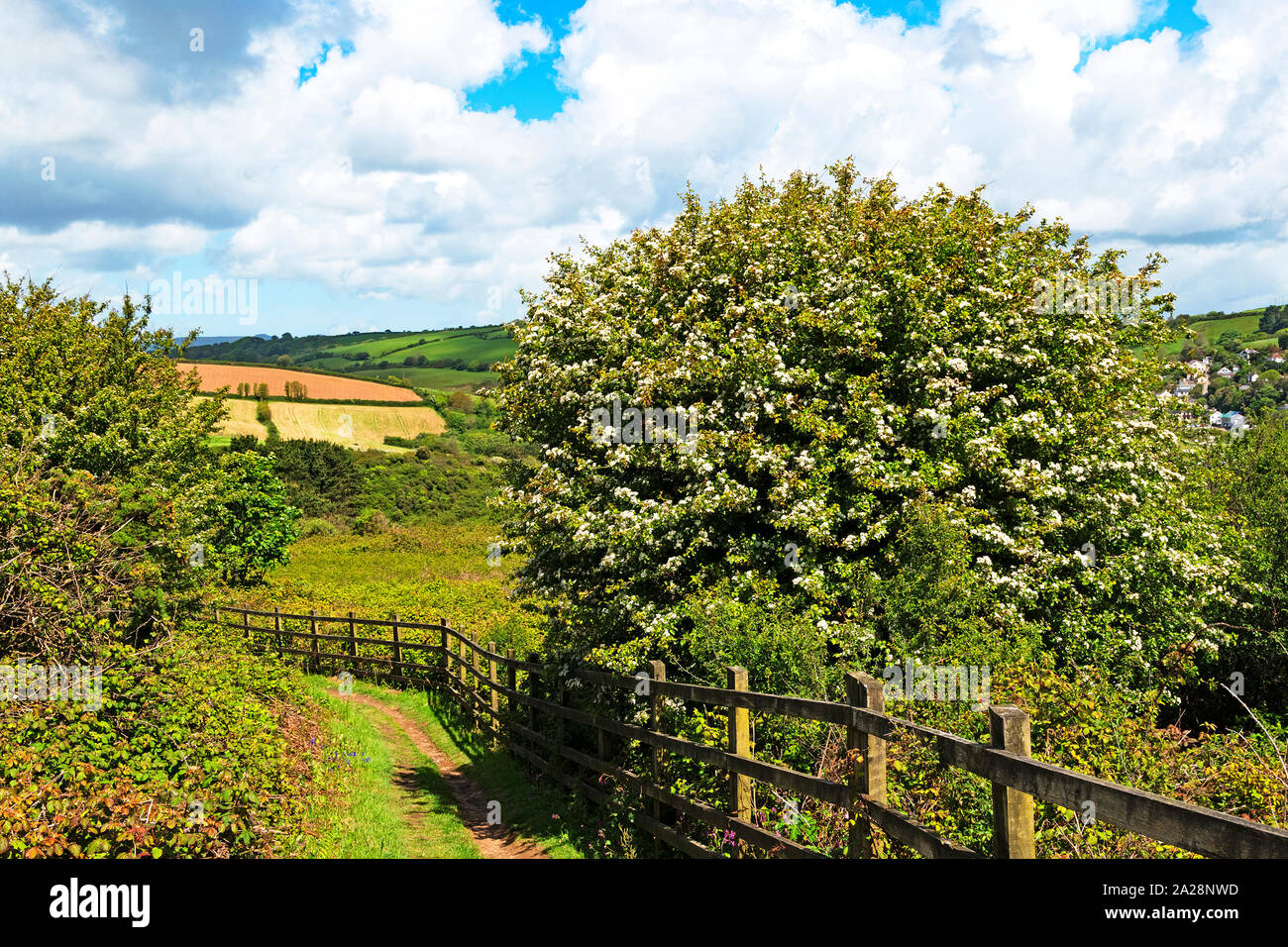 Paesaggio rurale, vista sulla campagna, Inghilterra, Regno Unito. Foto Stock