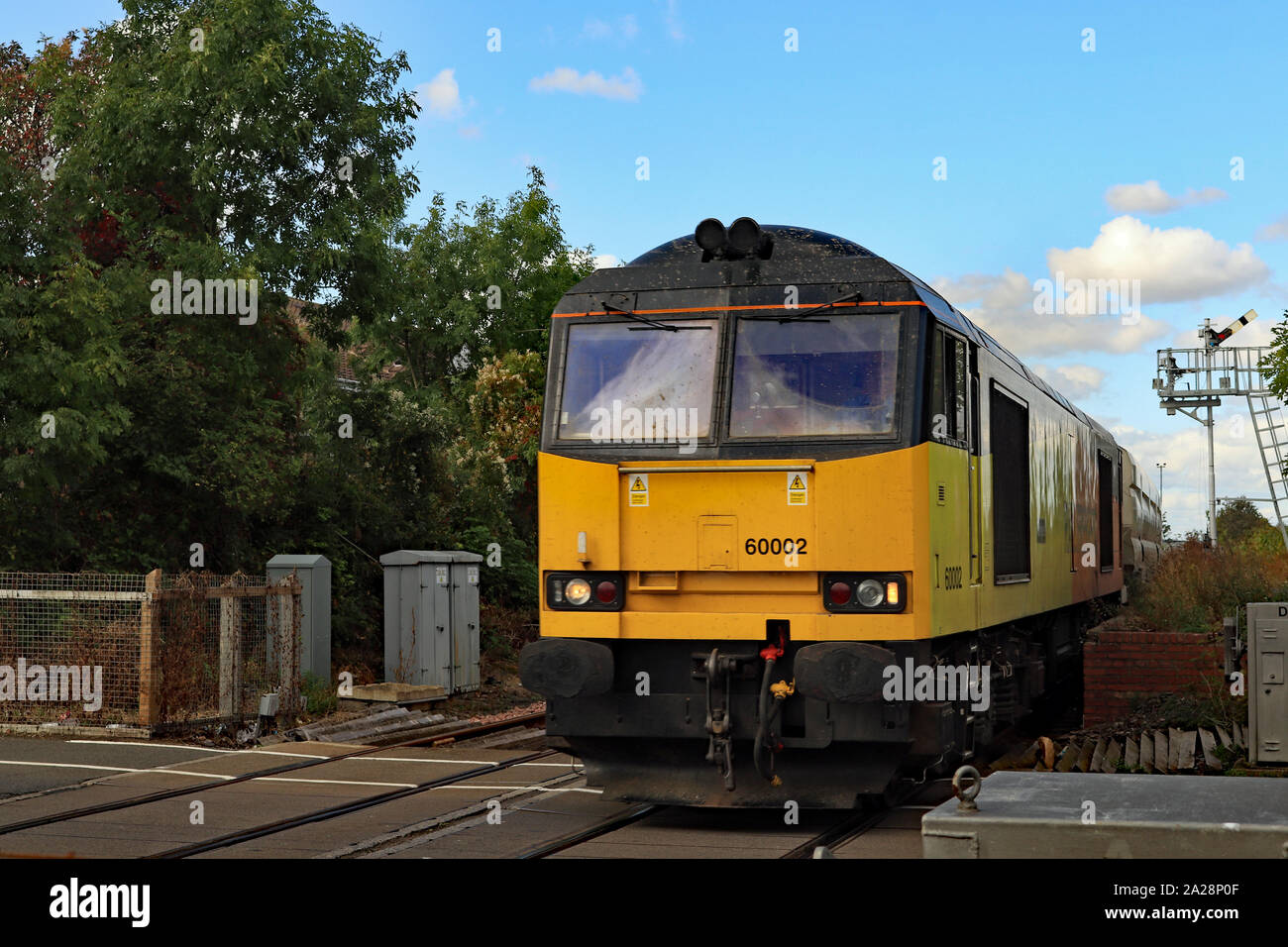 Un giallo e nero loco diesel attraversa Bedlington livello portando bio massa del carro da Lynemouth power station. Foto Stock