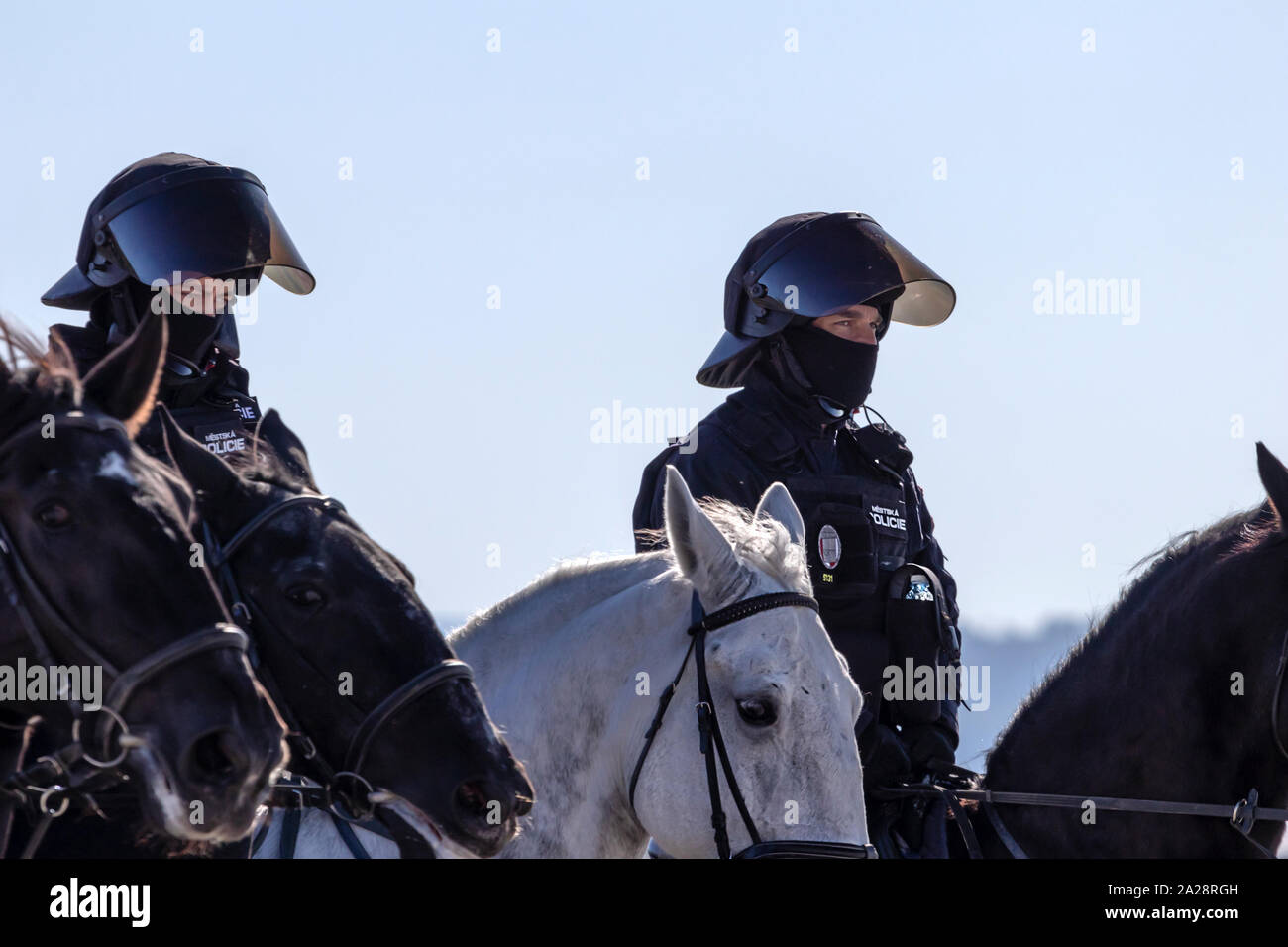 OSTRAVA, Repubblica Ceca - 21 settembre 2019: la NATO giorni. Ceca la polizia montata unità esegue un display dinamico a cavallo. Foto Stock