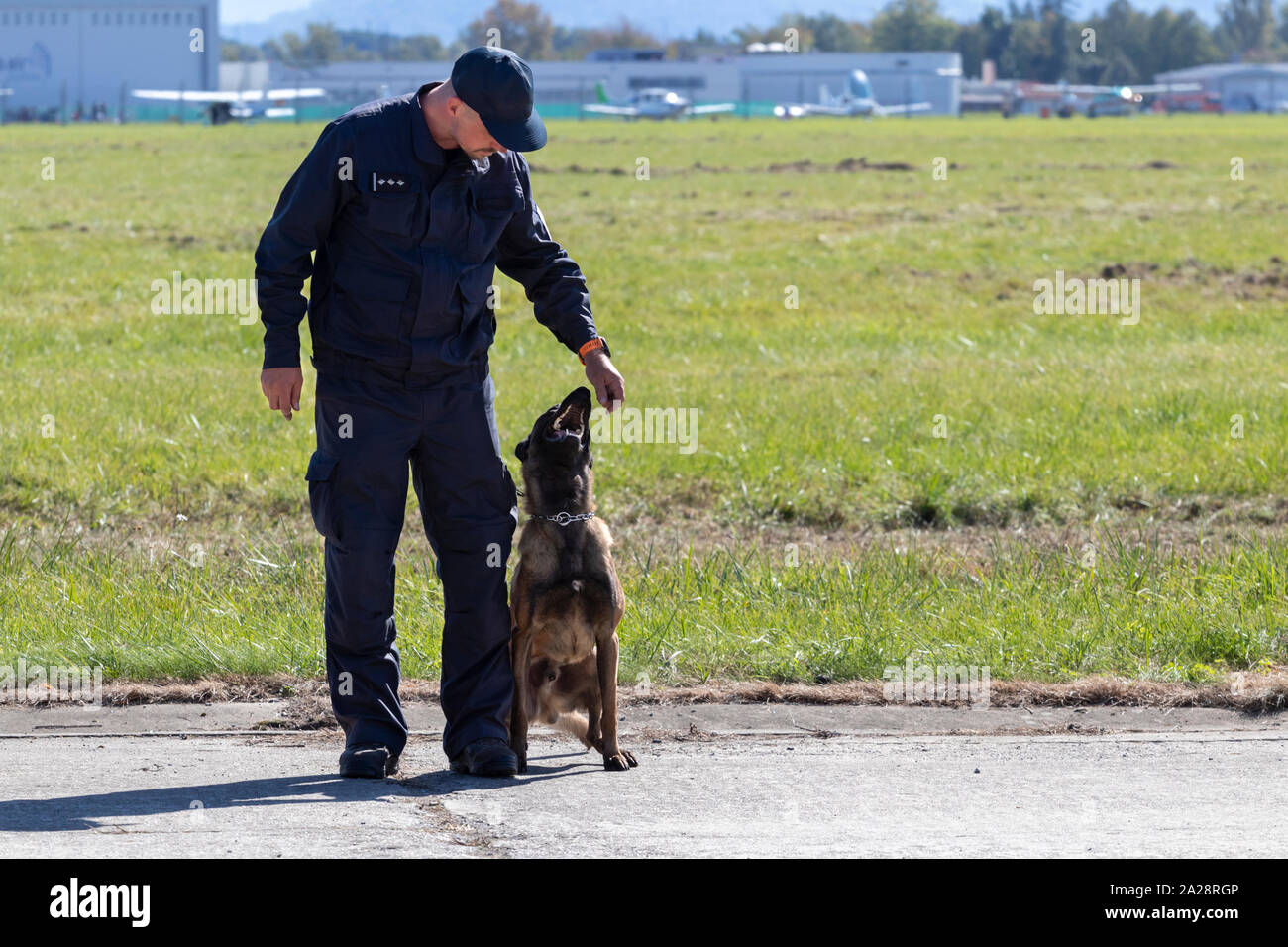 Un cane di polizia e il suo gestore durante un rilevamento di farmaco dimostrazione. Campo di erba e aeroporto in background. Foto Stock