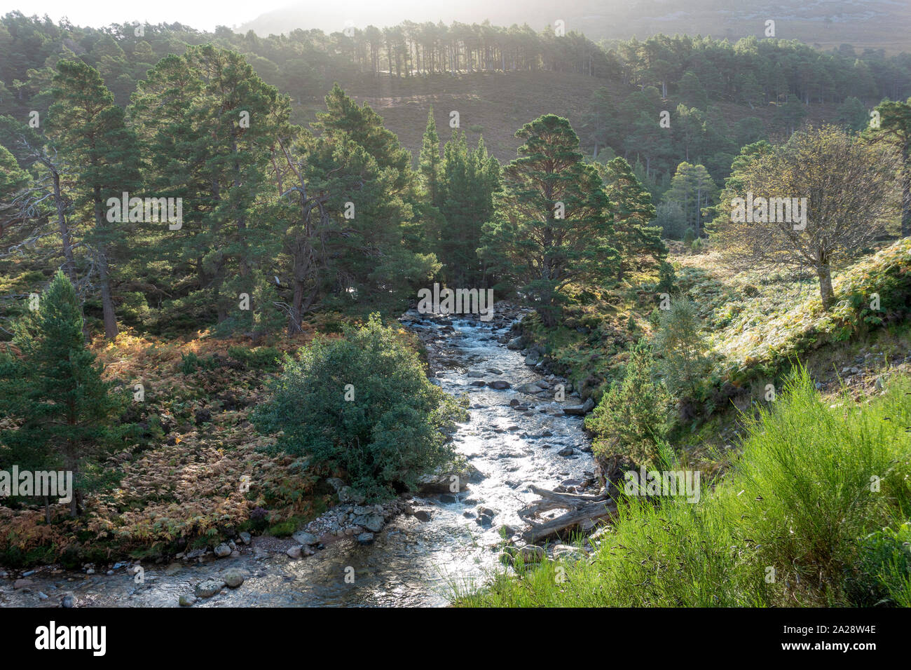 Glen Einich rotta nel Parco Nazionale di Cairngorms portando a Loch Eanaich Loch Einich Foto Stock