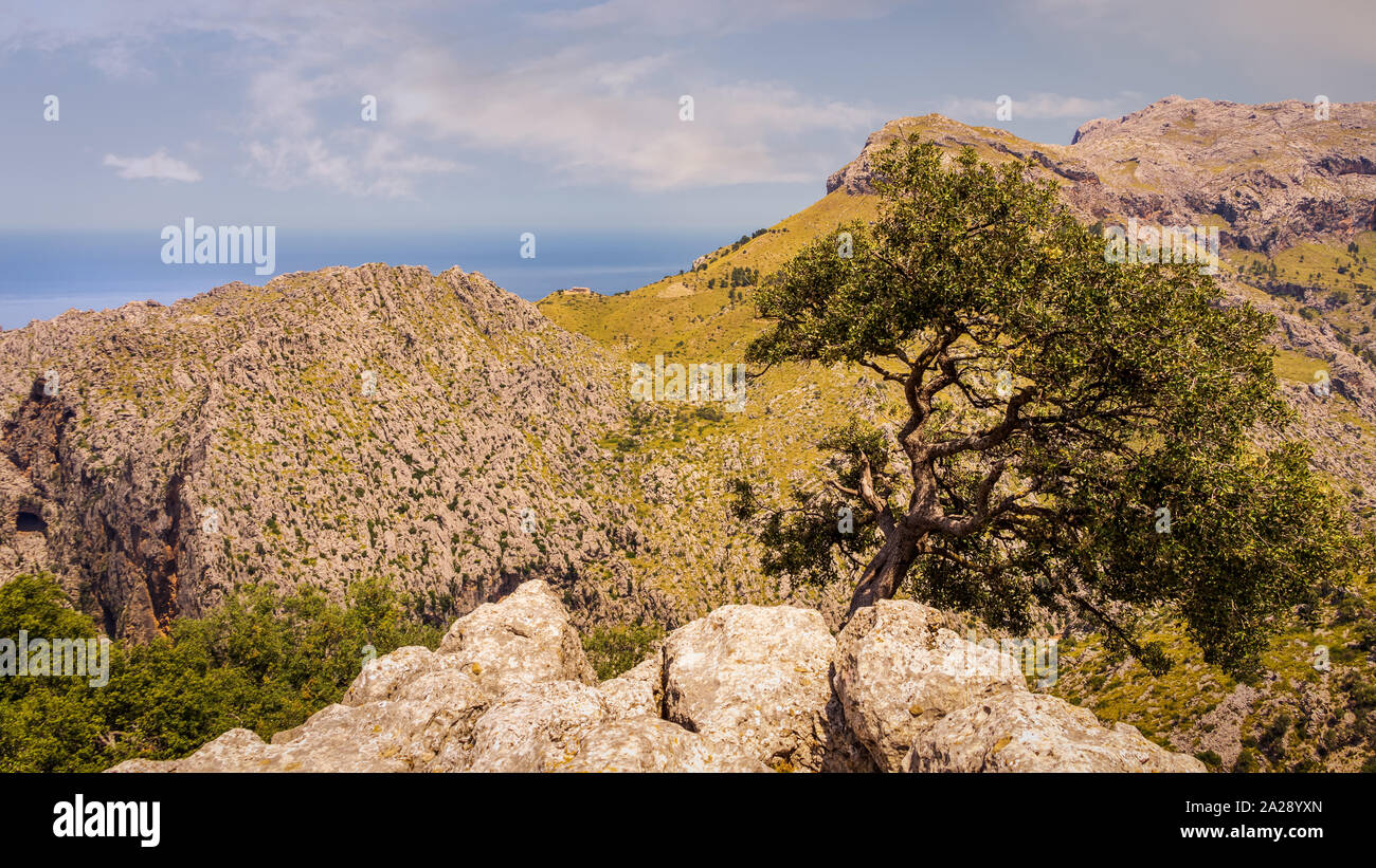 Bella costa nord dell'isola di Mallorca con montagne sulla costa, road trip, cielo blu con nuvole di Nizza in background, Formentor, Spagna Foto Stock