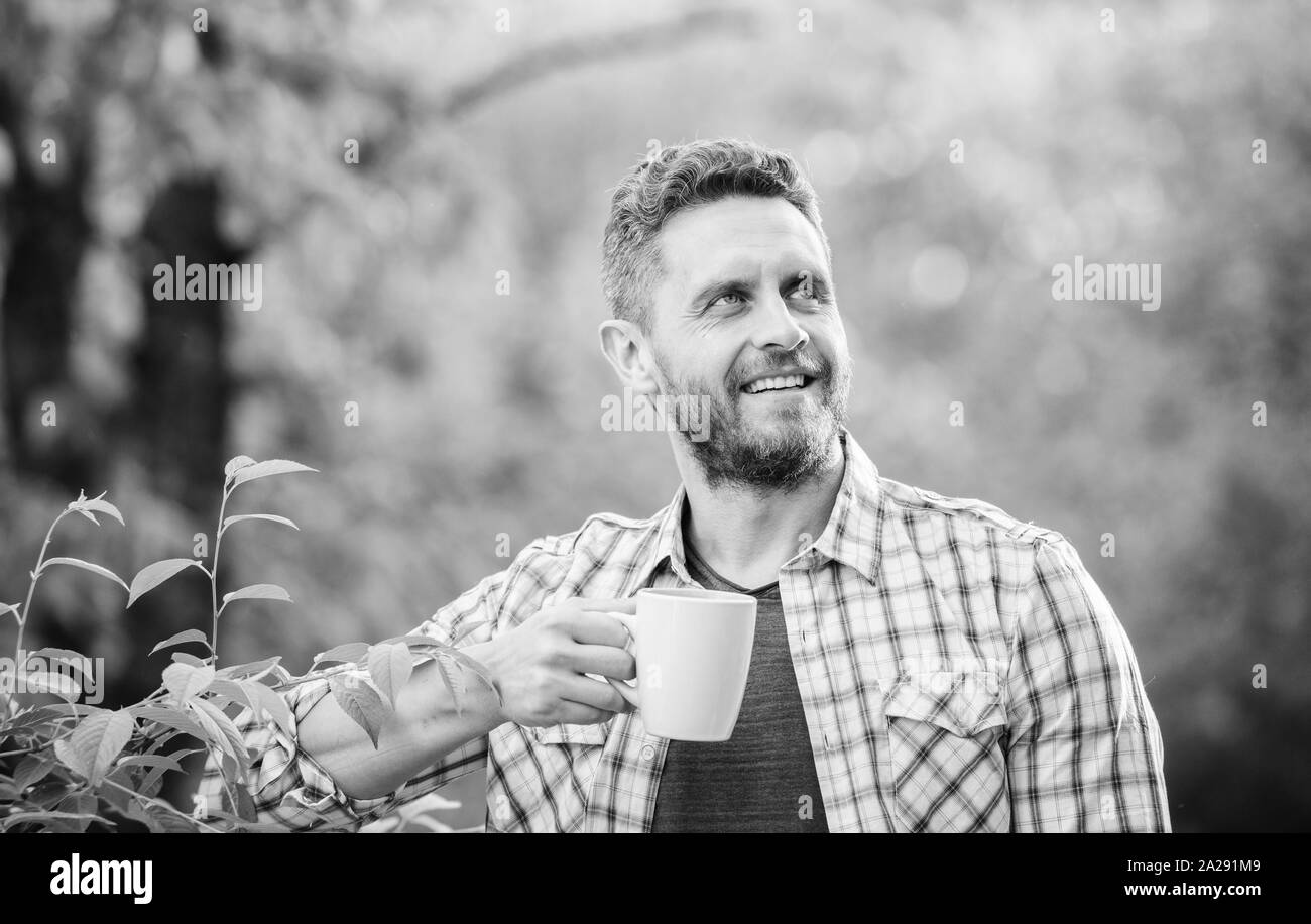 Il tè verde contiene composti bioattivi che migliorano la salute. A foglia intera tè. Bevanda naturale. Uno stile di vita sano. Io preferisco il tè verde. Bevanda rinfrescante. Uomo Barbuto tea farmer tenere mug natura dello sfondo. Foto Stock