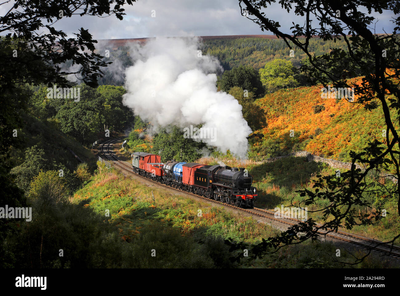 B1 1264 capi passato Thomason Foss sul NYMR. Foto Stock