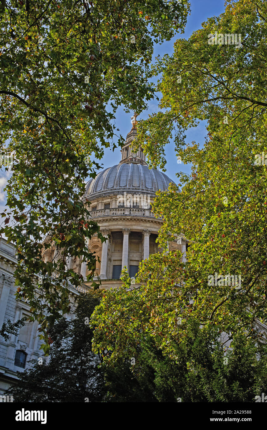 La Cattedrale di St Paul, Londra- progettato da Sir Christopher Wren e un iconico punto di riferimento di Londra. Foto Stock