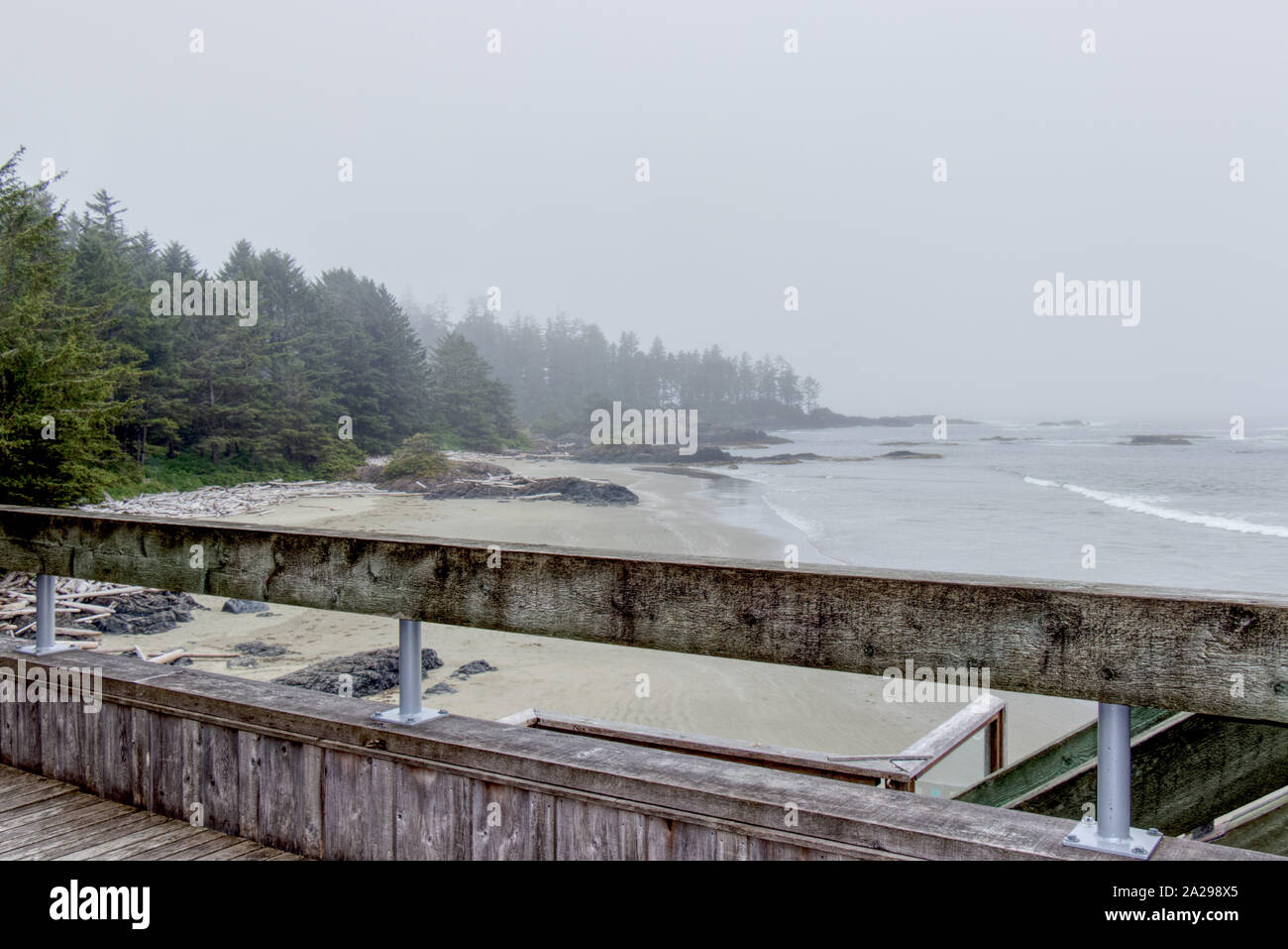 Un mysterios vista della lunga spiaggia dal Centro Visita di inizio mattinata nebbiosa, Tofino, Canada Foto Stock