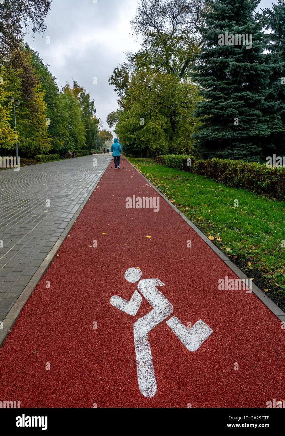 Una donna è impegnata nel Nordic walking con bastoni sulla pista da jogging con la denominazione appropriata sul vicolo del parco della città in autunno Foto Stock
