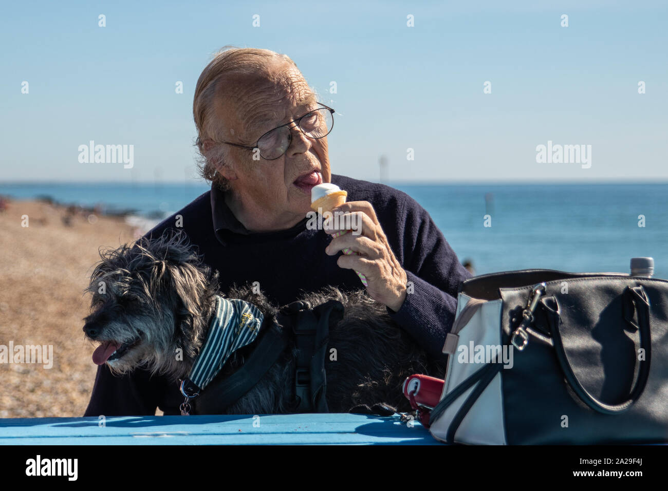 Un anziano uomo seduto con il suo cane al mare che lambisce un cono gelato Foto Stock