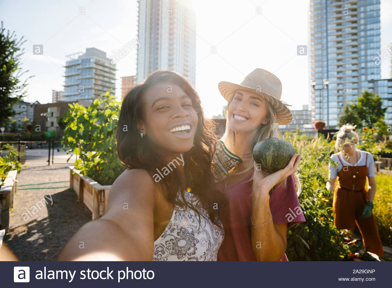 Punto di vista personale di donne giovani amici prendendo selfie nella soleggiata, urban comunità giardino Foto Stock