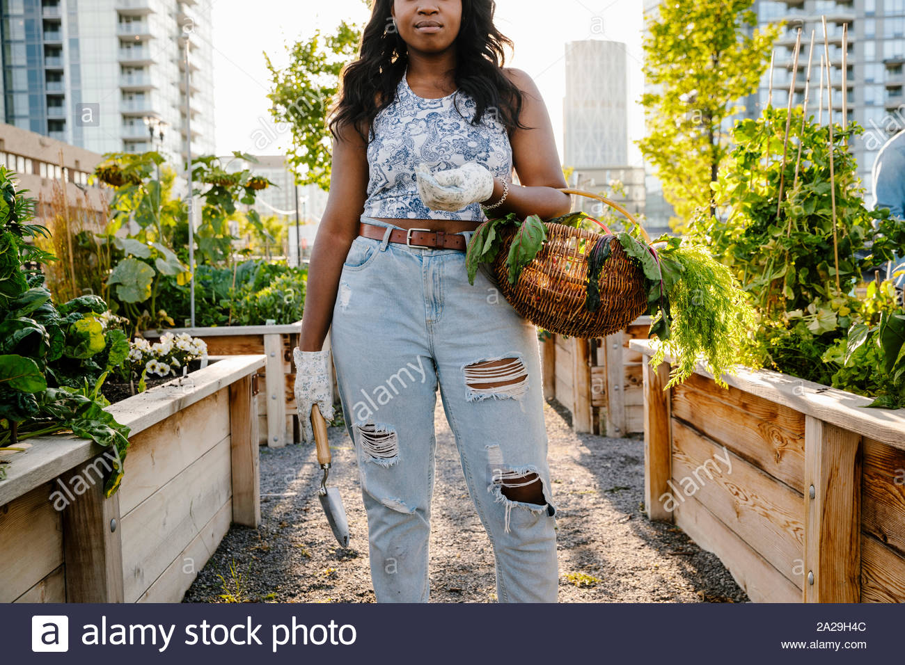 Fiducioso giovane donna cestello di trasporto di prodotti freschi ortaggi raccolti nella soleggiata, urban comunità giardino Foto Stock