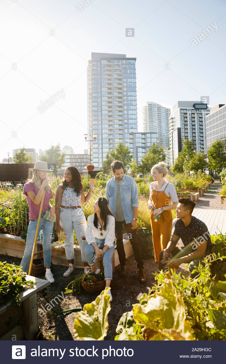 Giovani amici adulti parlando nella soleggiata, urban comunità giardino Foto Stock