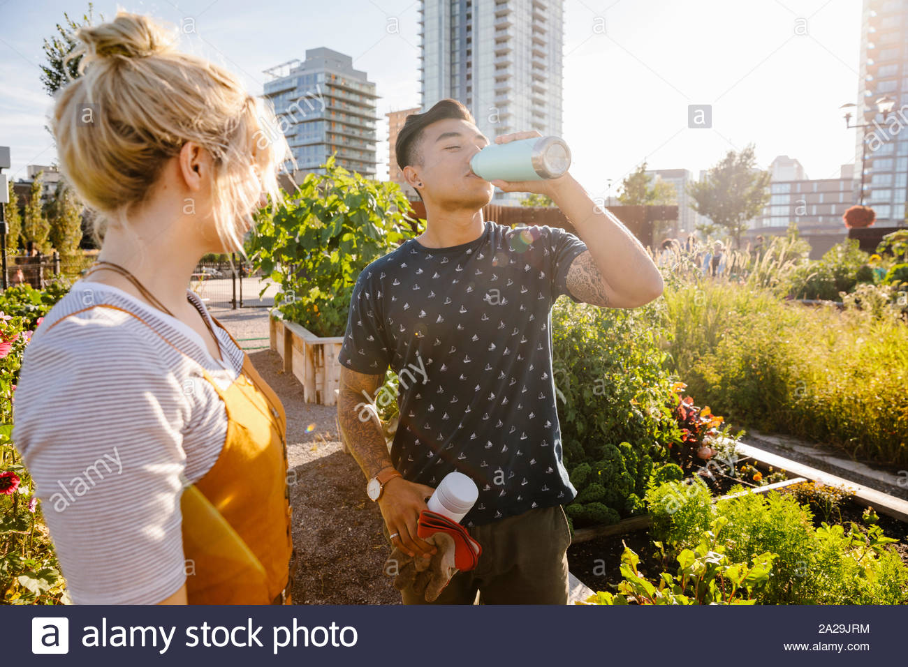 Giovane uomo di bere dalla bottiglia di acqua nella soleggiata, urban comunità giardino Foto Stock
