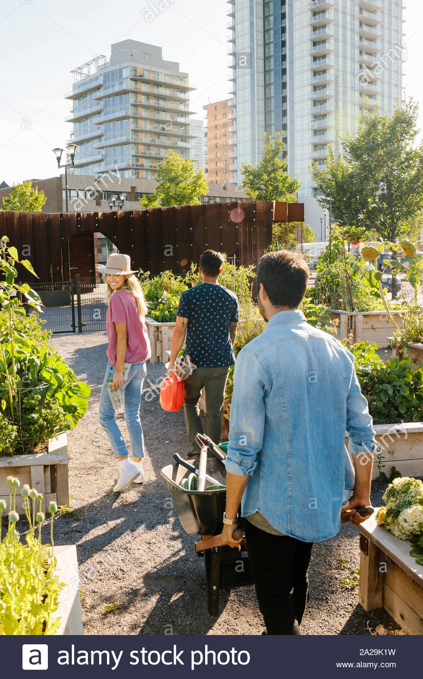 Amici a piedi con apparecchiature nel soleggiato, comunità urbana garden Foto Stock