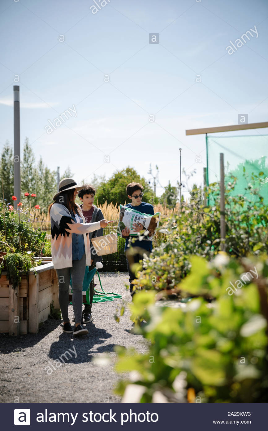 Madre e figli giardinaggio nel soleggiato giardino comunitario Foto Stock