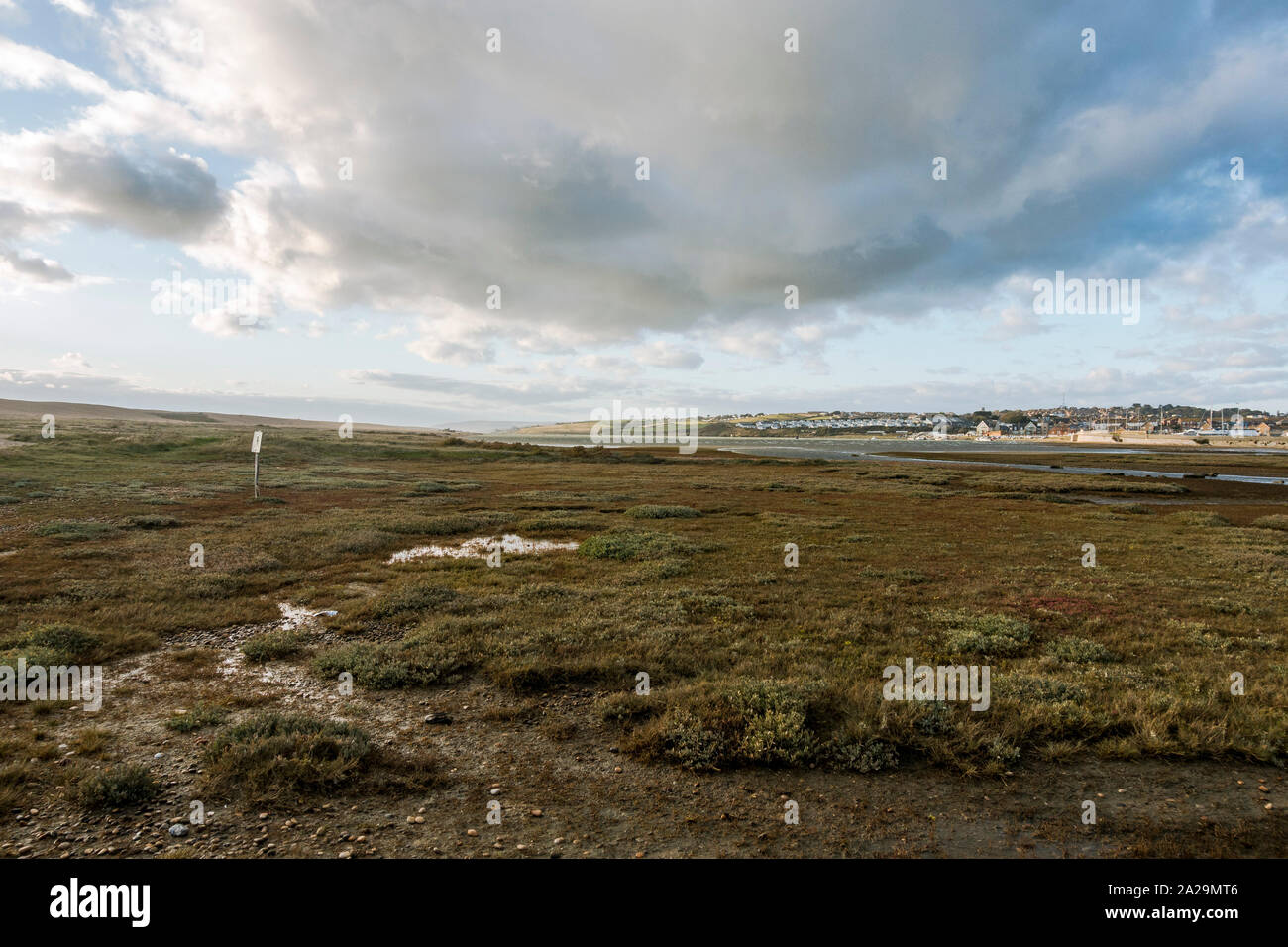 Chesil Beach riserva naturale, vicino all'isola di Portland, Jurassic Coast, Dorset, sud ovest dell'Inghilterra, Regno Unito. Foto Stock