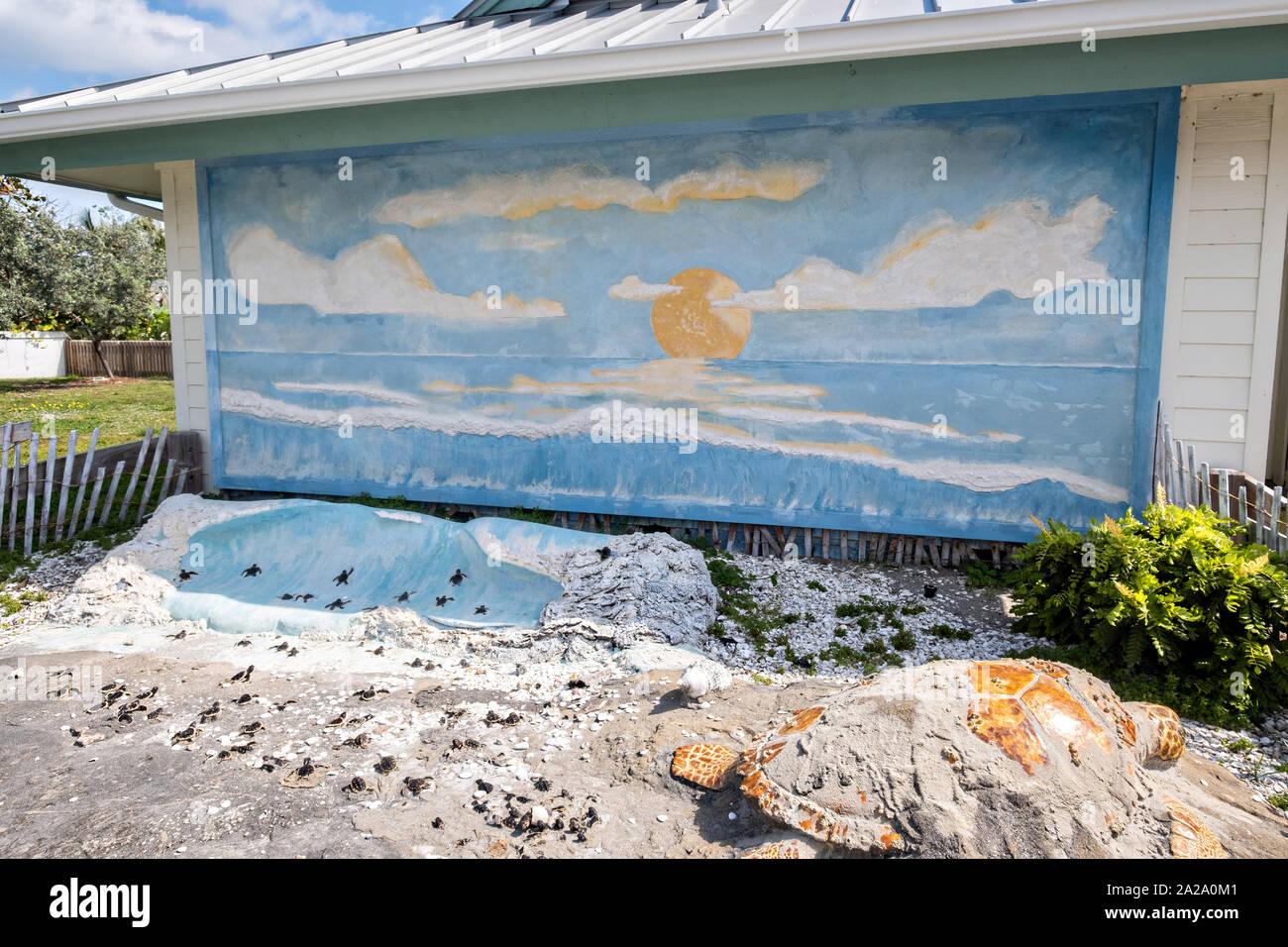Murale e tartarughe di mare al display Hobe Sound Beach in Hobe Sound, Florida. Foto Stock